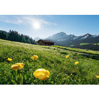 Komar Fototapete Alpenglück B/L: ca. 400x280 cm Alpenglück - (400,00/280,00cm) - Komar