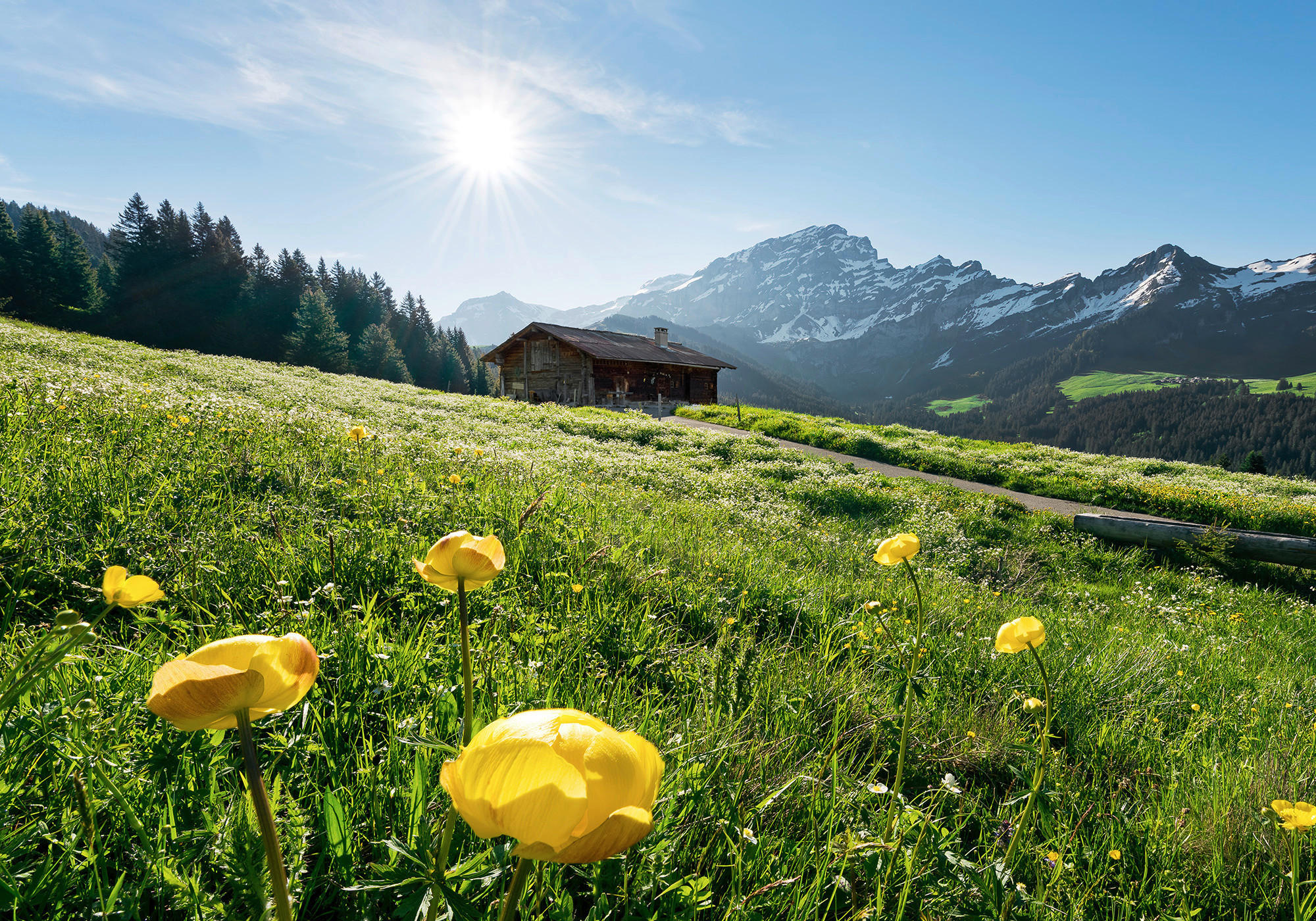 Komar Fototapete Alpenglück B/L: ca. 400x280 cm günstig online kaufen