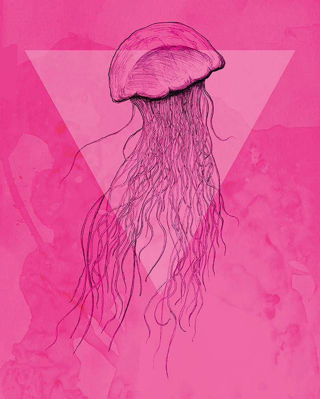 Komar Poster Jellyfish Pink Tiere B/L: ca. 40x50 cm günstig online kaufen