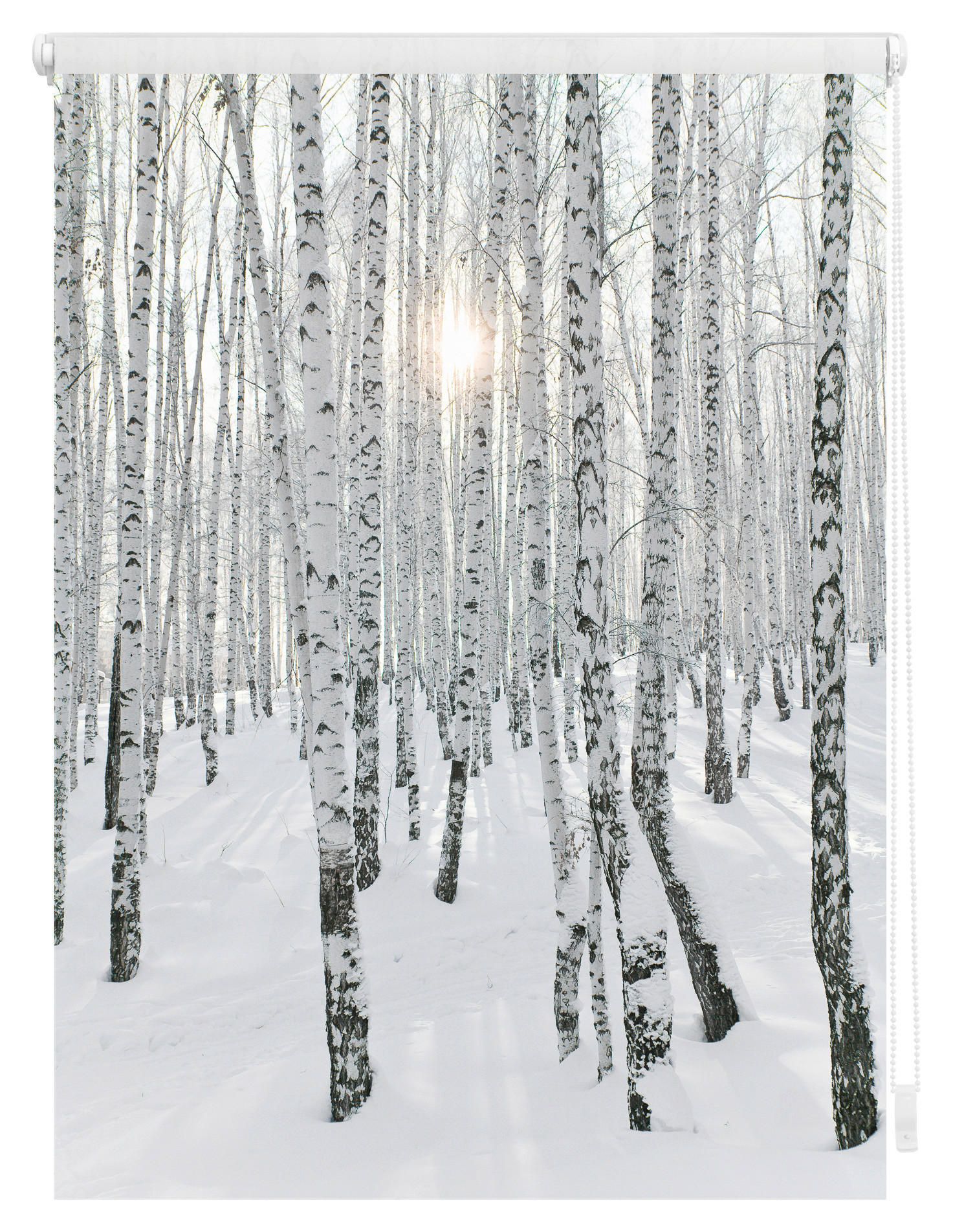 Thumbnail - LICHTBLICK Rollo Birkenwald weiß B/L: ca. 80x150 cm