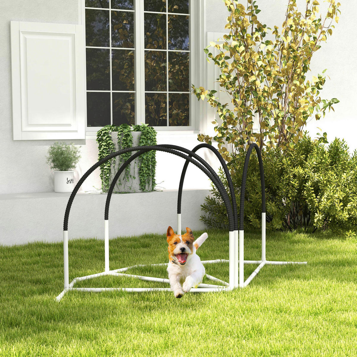PawHut Hunde-Agility-Set Hunde-Agility-Set - weiß/schwarz (89,00/69,00/99,00cm) - PawHut