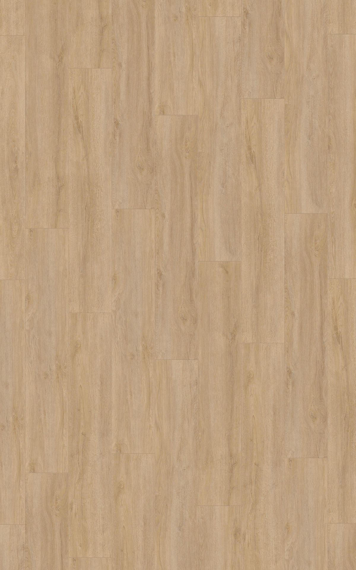 Superior Laminatboden Advanced Plus ca. 2,694 m² im Paket  B/L: ca. 24,45x138 cm pro Paket Advanced Plus ca. 2,694 m² im Paket - hellgrau (24,45/138,00cm) - Superior