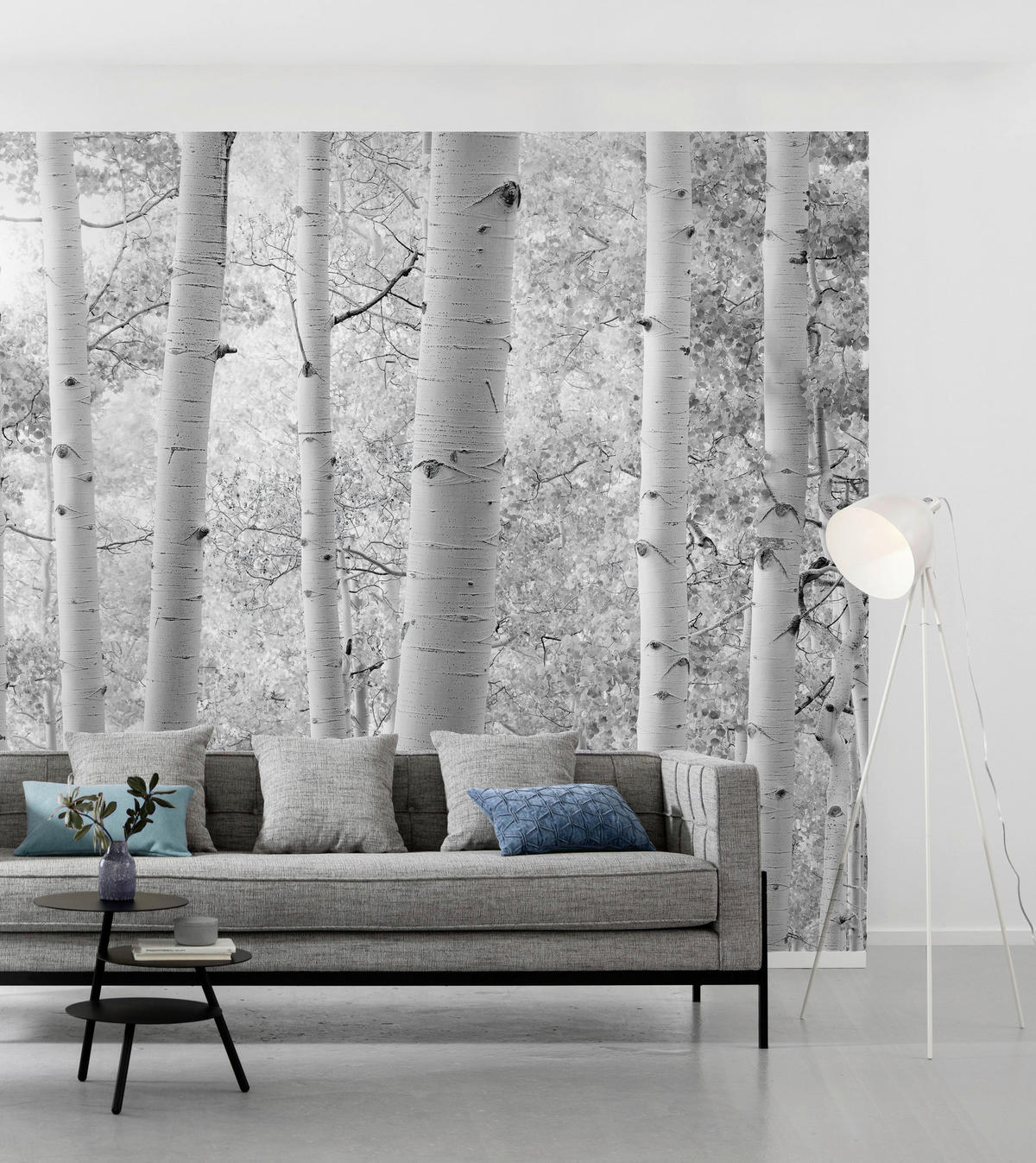 Komar Fototapete Espenwald B/L: ca. 450x280 cm Espenwald - (450,00/280,00cm) - Komar