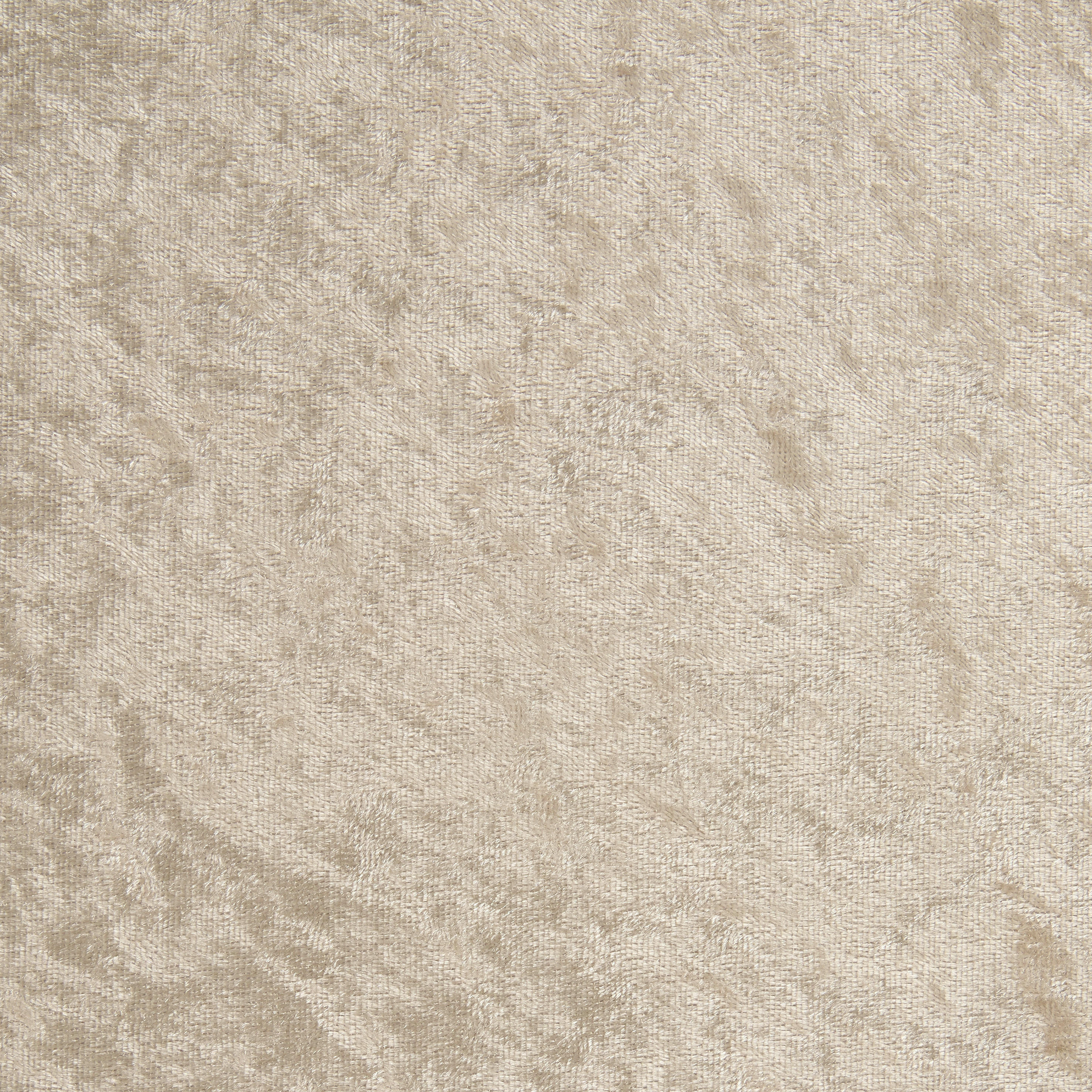 Dekostoff Pannesamt beige B: ca. 150 cm Pannesamt - beige (150,00cm)