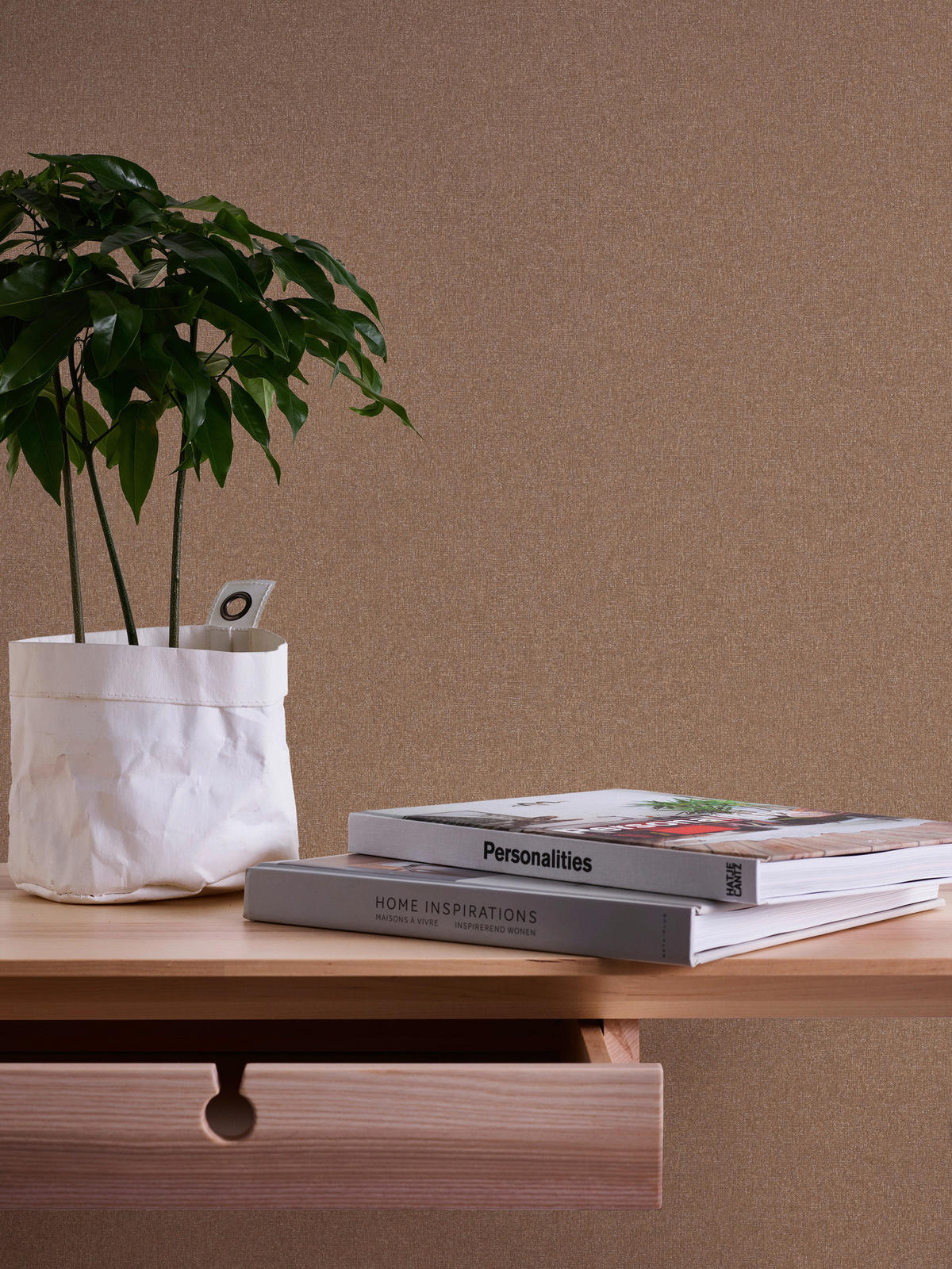 A.S.Creation Vliestapete Terra Uni braun B/L: ca. 53x1005 cm Terra - braun (53,00/1005,00cm) - A.S.Creation