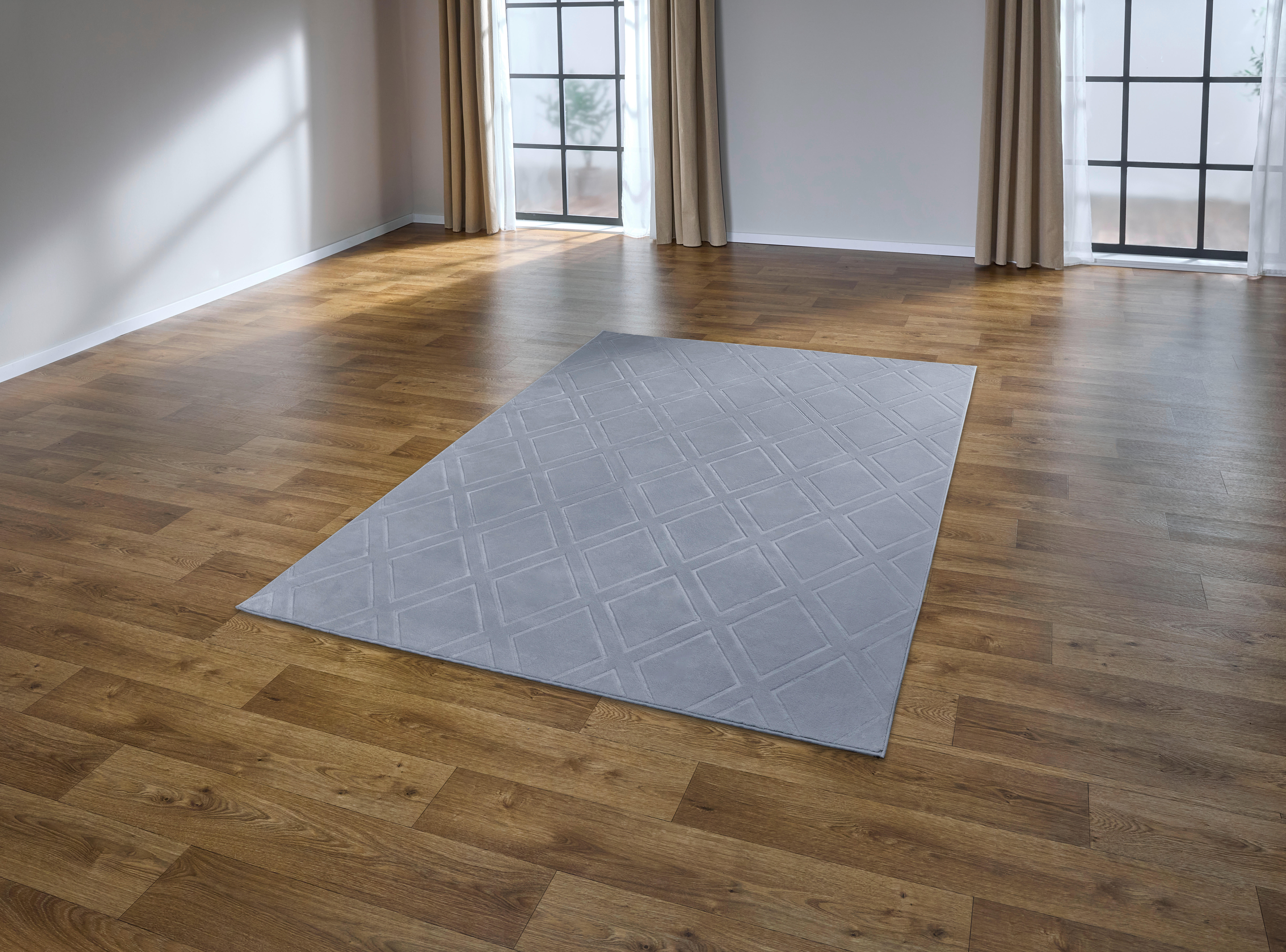 Teppich Monaco silber B/L: ca. 160x230 cm Monaco - silber (160,00/230,00cm)