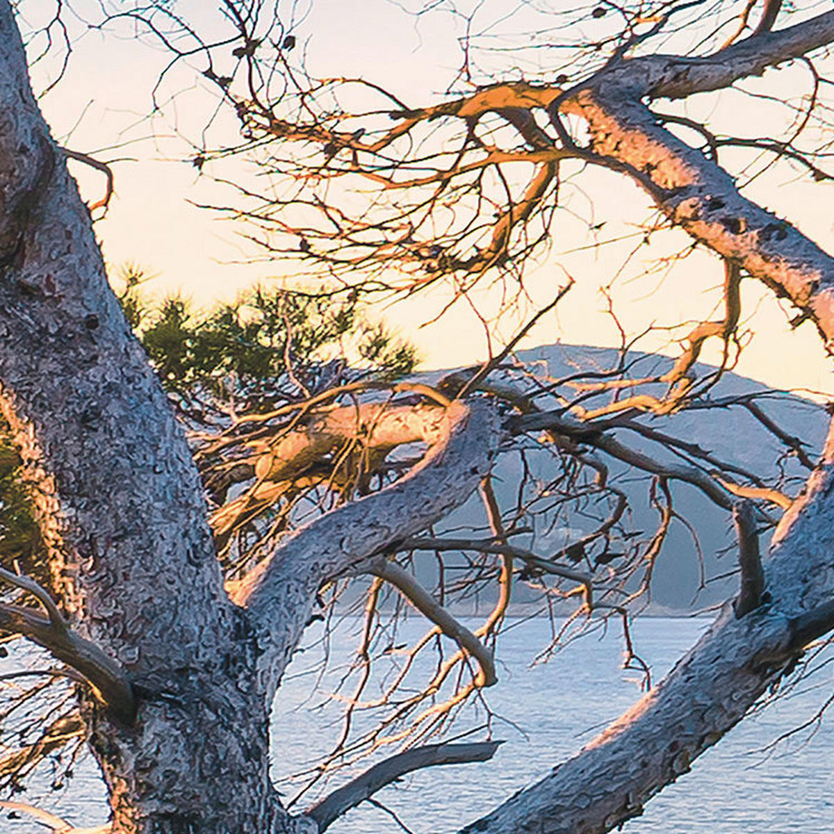 Komar Fototapete Southern Light B/L: ca. 400x250 cm Southern Light - (400,00/250,00cm) - Komar