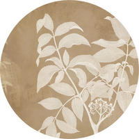 Komar Fototapete Blooming Branch D: ca. 125 cm Blooming Branch - (125,00cm) - Komar