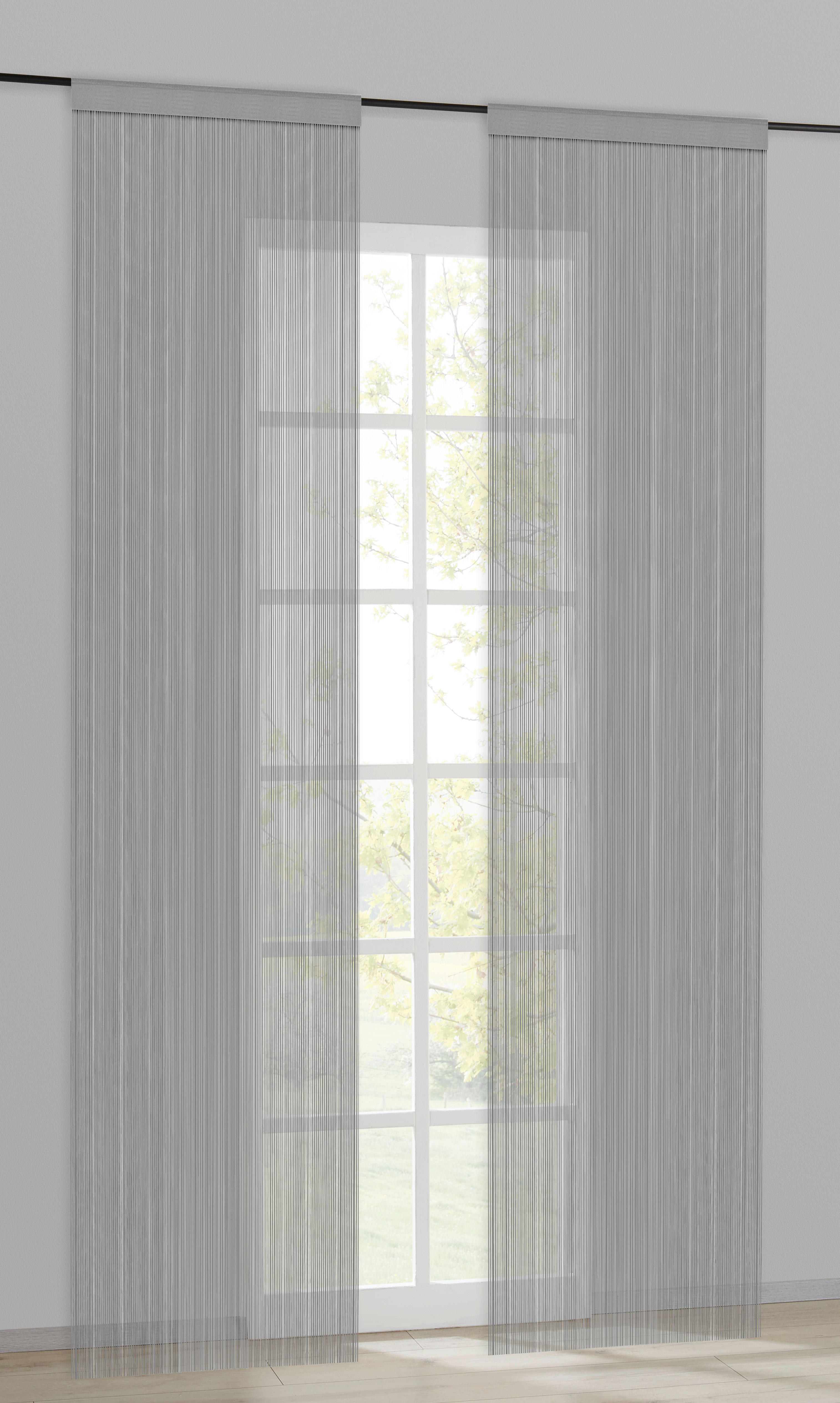 Fadenvorhang String silber B/L: ca. 200x245 cm String - silber (200,00/245,00cm)