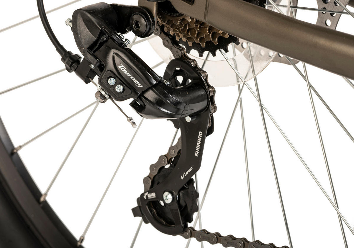 WYLD Mountain-Bike Sharp Sharp 29 Zoll Rahmenhöhe 46 cm 21 Gänge grau grau ca. 29 Zoll Sharp - grau (144,00/24,00/80,00cm) - WYLD