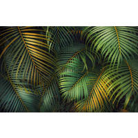 Komar Fototapete Amazon Fern B/L: ca. 400x250 cm Amazon Fern - (400,00/250,00cm) - Komar
