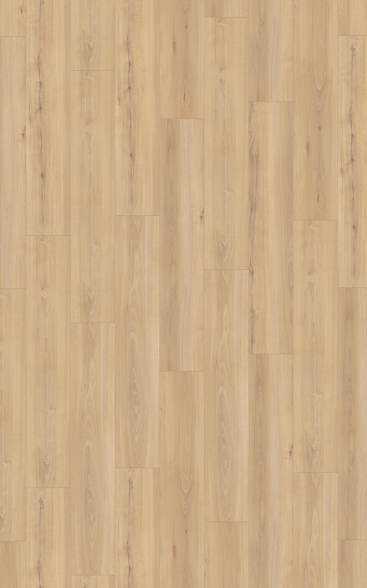 Laminatboden Buche natur ca. 2,694 m² im Paket  B/L: ca. 24,4x138 cm pro Paket Buche natur ca. 2,694 m² im Paket - natur (24,40/138,00cm)