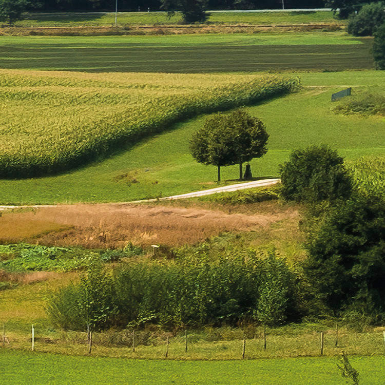 Komar Fototapete Bayrische Idylle B/L: ca. 350x280 cm Bayrische Idylle - (350,00/280,00cm) - Komar