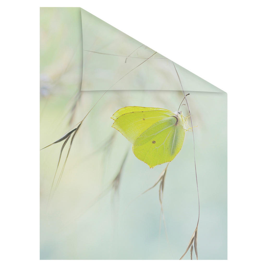 Thumbnail - LICHTBLICK Fensterfolie Schmetterling Schmetterling Schmetterling grün B/L: ca. 100x130 cm