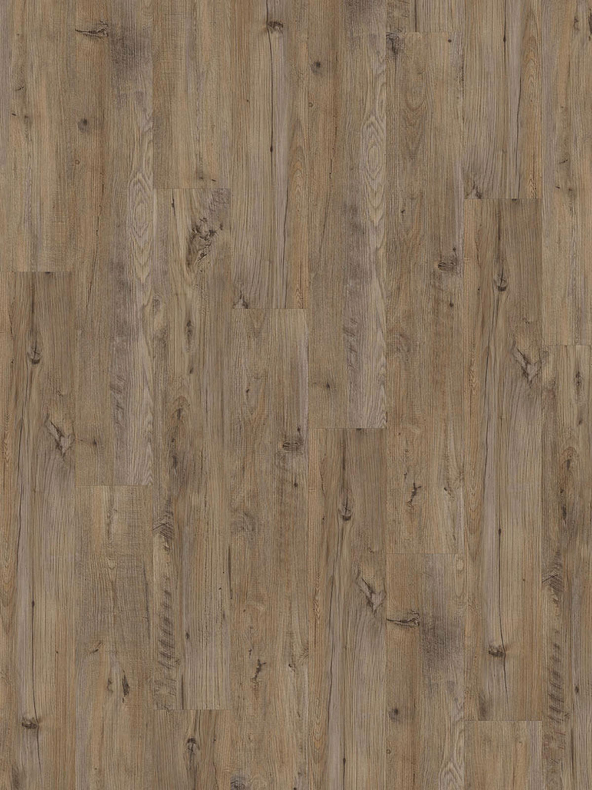 Check One Click-Vinylboden Achenbach ca. 2,196 m² im Paket  B/L: ca. 18x122 cm pro Paket Achenbach ca. 2,196 m² im Paket - Kastanie (18,00/122,00cm) - Check One