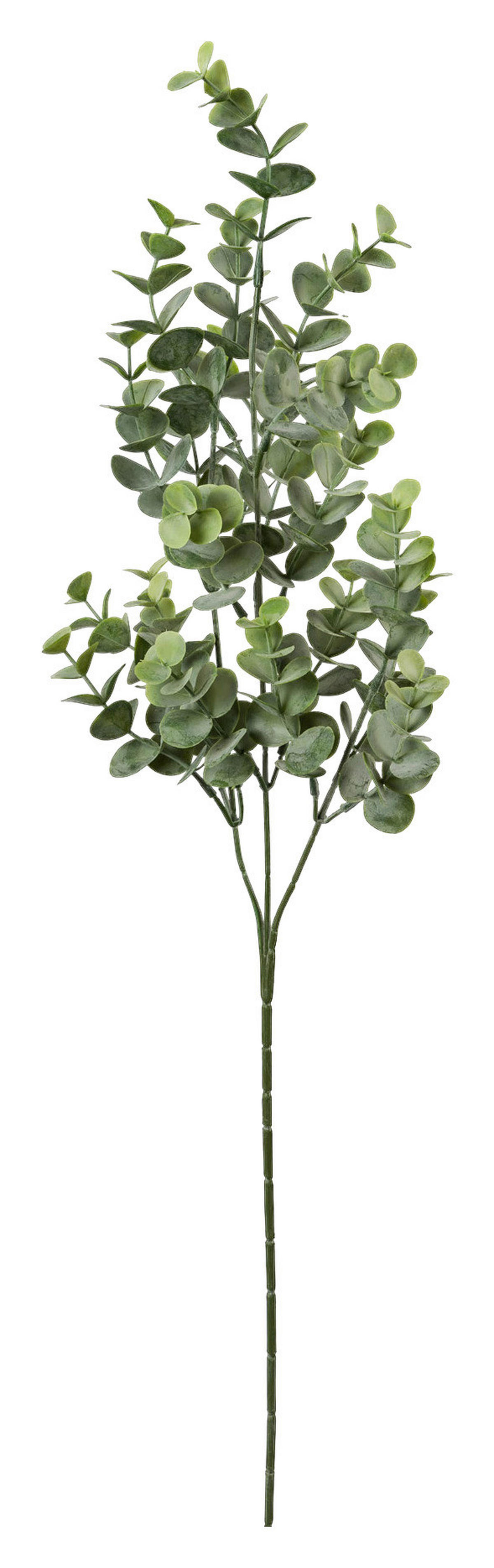 Deko-Zweig grau Kunststoff B/H/L: ca. 13x69x13 cm Eukalypthuszweig - grau (13,00/13,00/69,00cm)