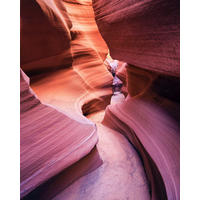 Komar Fototapete Lost in Color B/L: ca. 200x250 cm Lost in Color - (200,00/250,00cm) - Komar