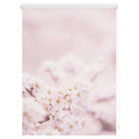 Rollo Kirschblüten rosé B/L: ca. 45x150 cm Kirschblüten - weiß/rosé (45,00/150,00cm) - LICHTBLICK