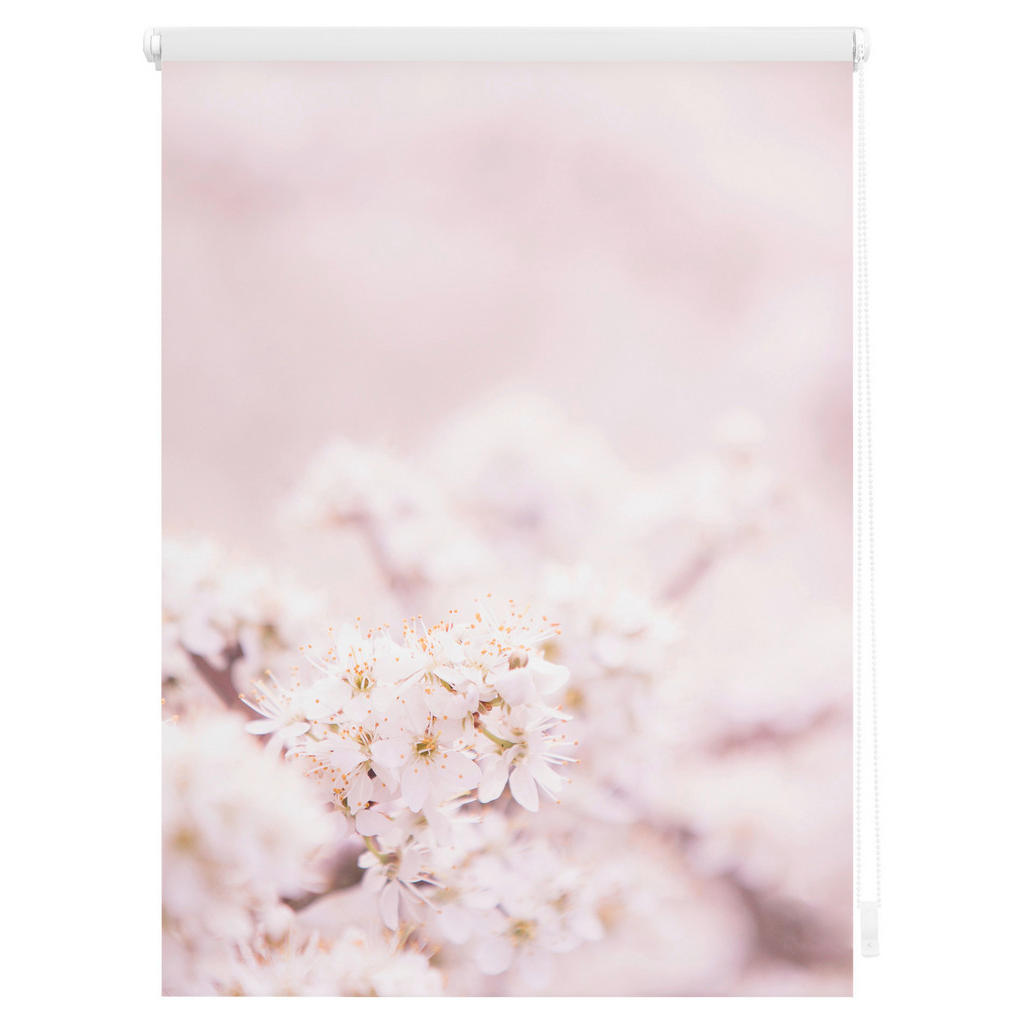 Thumbnail - LICHTBLICK Rollo Kirschblüten rosé B/L: ca. 60x150 cm