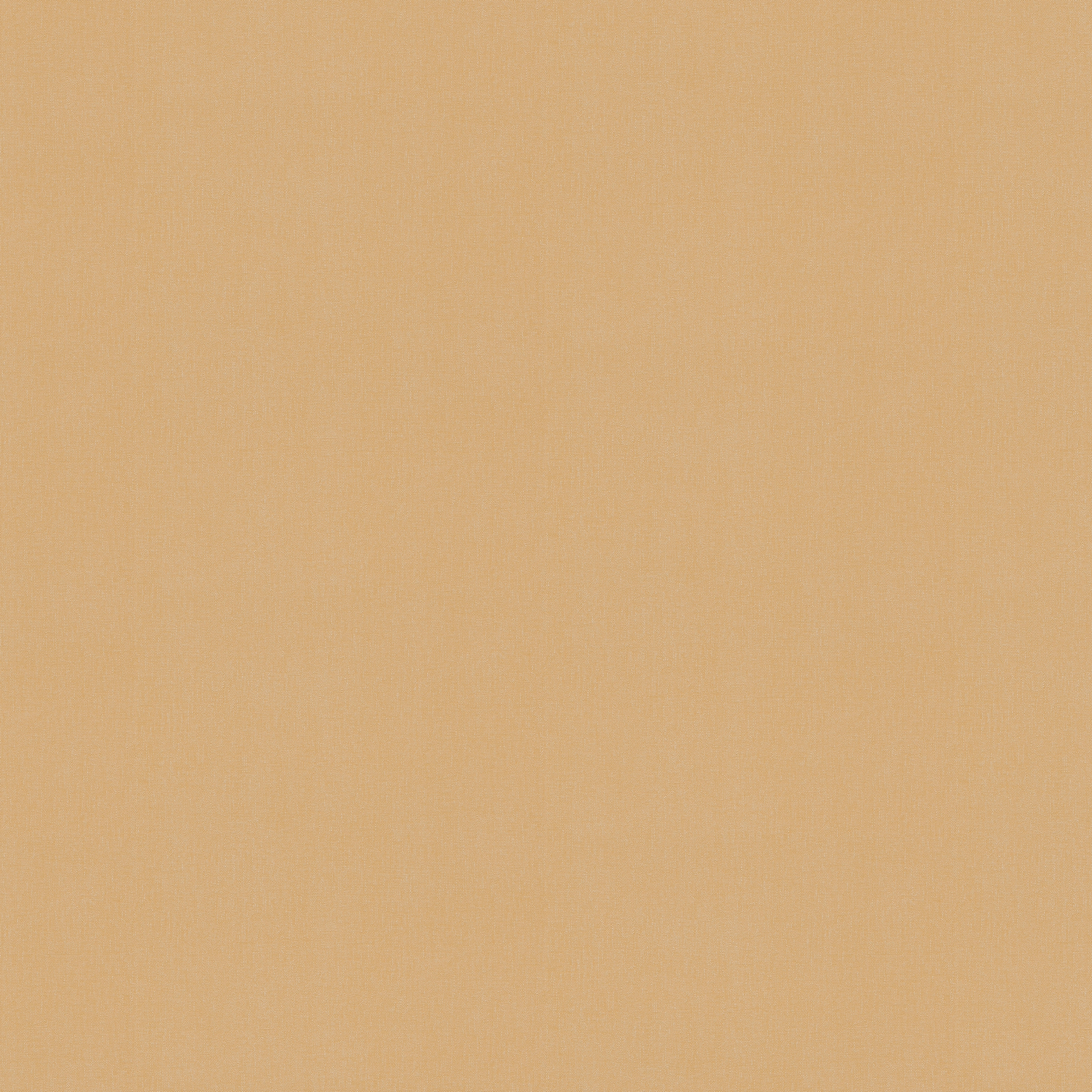 Vliestapete terra braun B/L: ca. 53x1005 cm Vliestapete_3851-47 - braun/terra (53,00/1005,00cm)