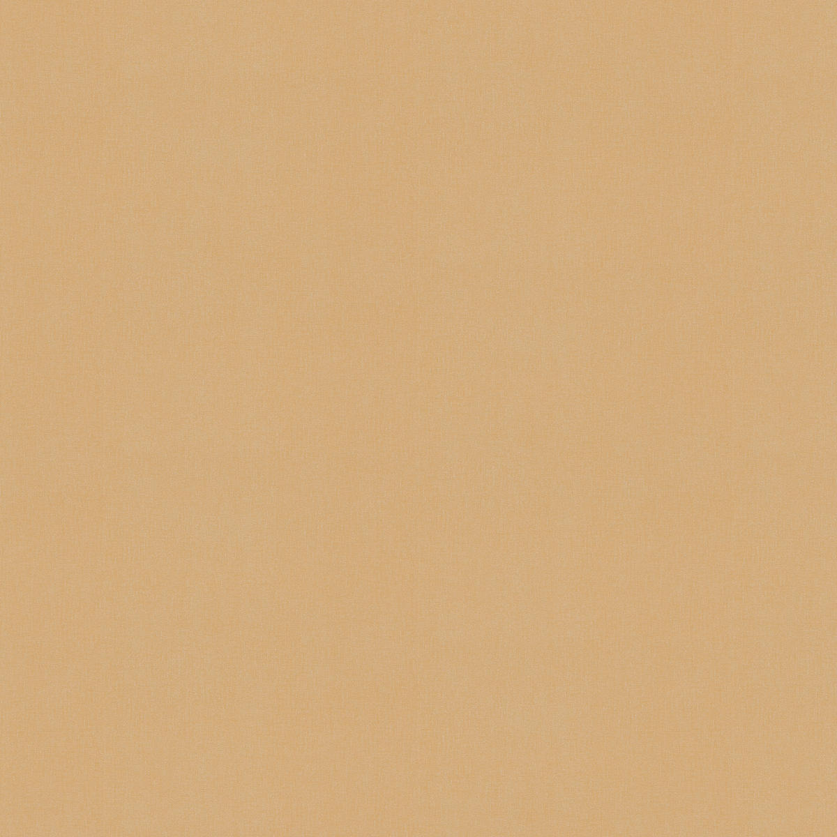 Vliestapete terra braun B/L: ca. 53x1005 cm Vliestapete_3851-47 - braun/terra (53,00/1005,00cm)