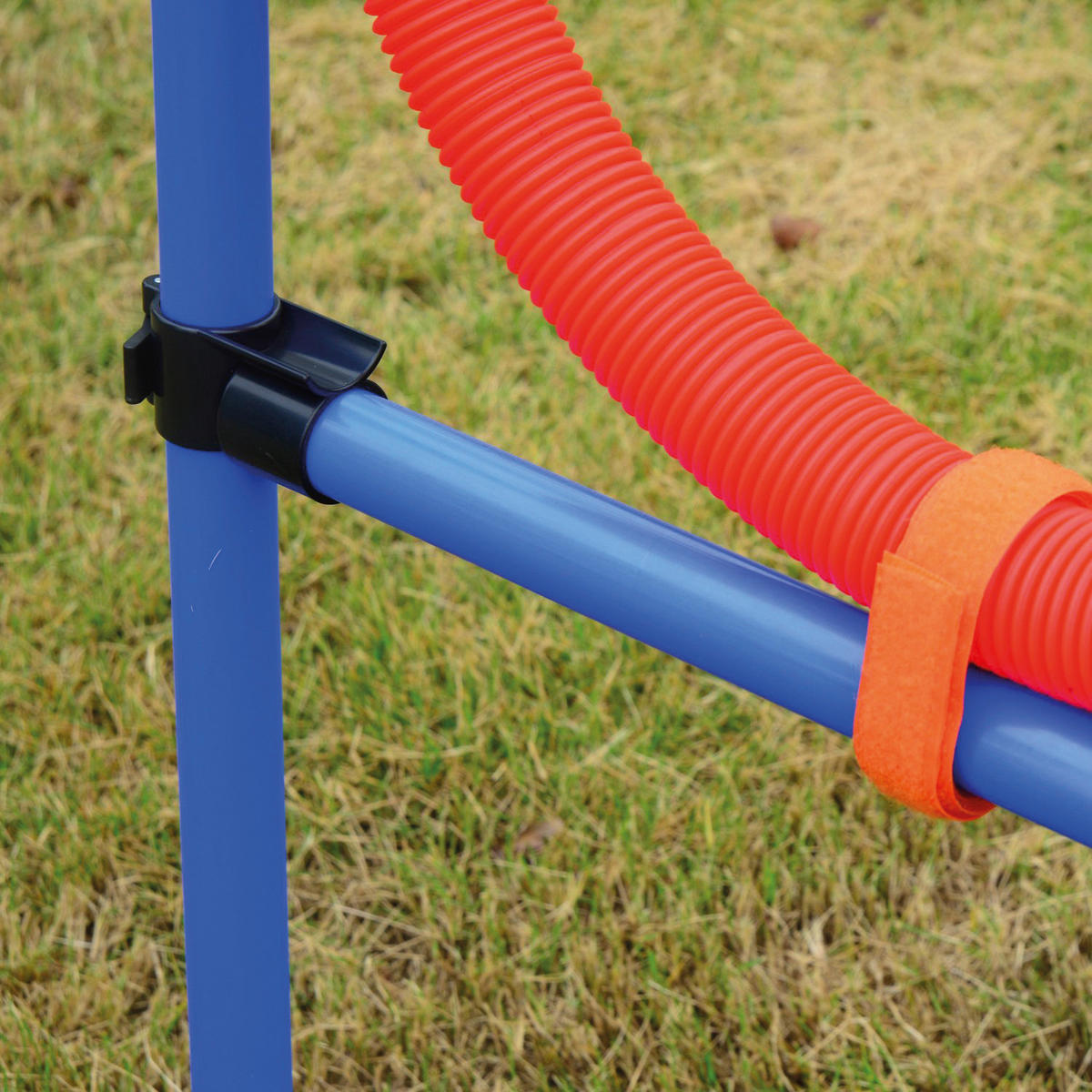 PawHut Hundesport Hundesport - blau/rot - PawHut