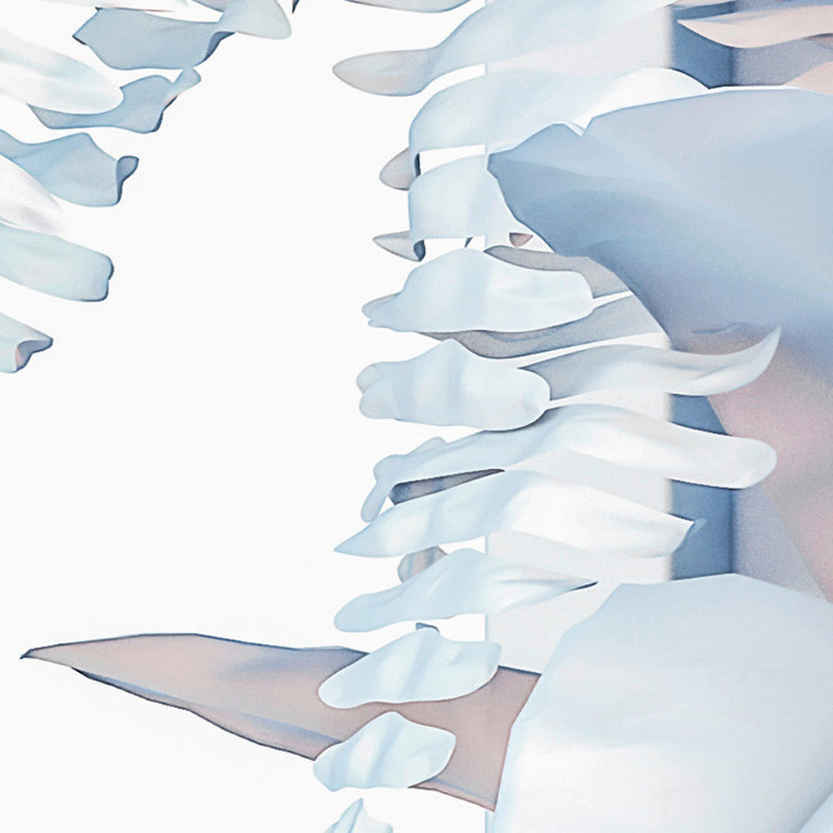 Komar Fototapete Vertical Garden B/L: ca. 400x250 cm Vertical Garden - (400,00/250,00cm) - Komar