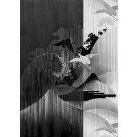 Komar Fototapete Yin Yang B/L: ca. 200x280 cm Yin Yang - (200,00/280,00cm) - Komar