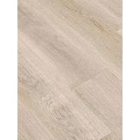 Musterstück Click-Vinyl Ziesar Eiche Eiche B/L/S: ca. 22x32x0,45 cm Ziesar Eiche - Eiche (22,00/32,00cm)