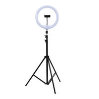 Ringlicht schwarz B/H/L: ca. 7x70x39 cm 1 Brennstellen Ringlicht - schwarz (39,00/7,00/70,00cm)