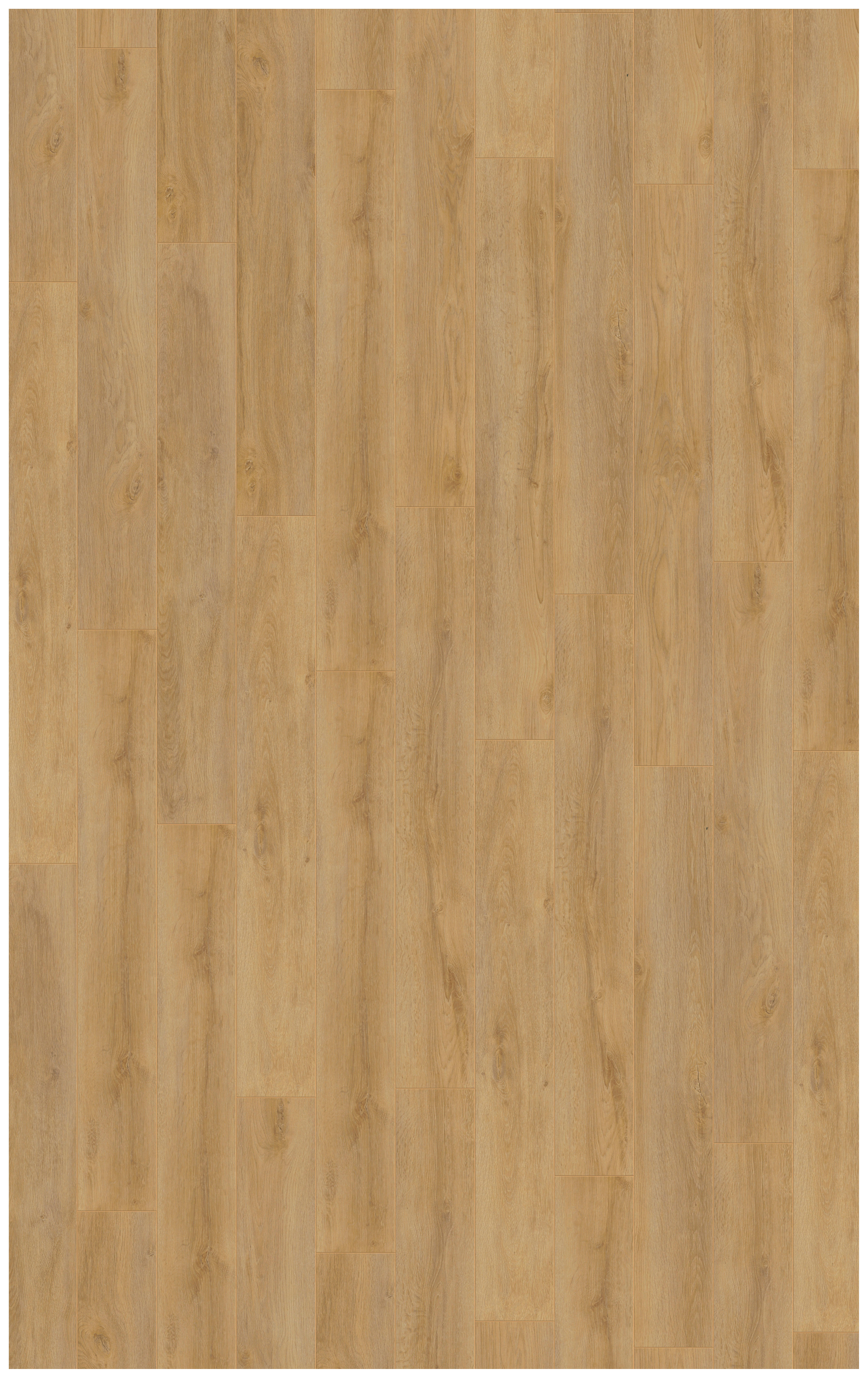 Kronotex Laminatboden Robusto ca.1,293m² im Paket  B/L: ca. 18,8x137,5 cm pro Paket Robusto ca.1,293m² im Paket - natur (18,80/137,50cm) - Kronotex