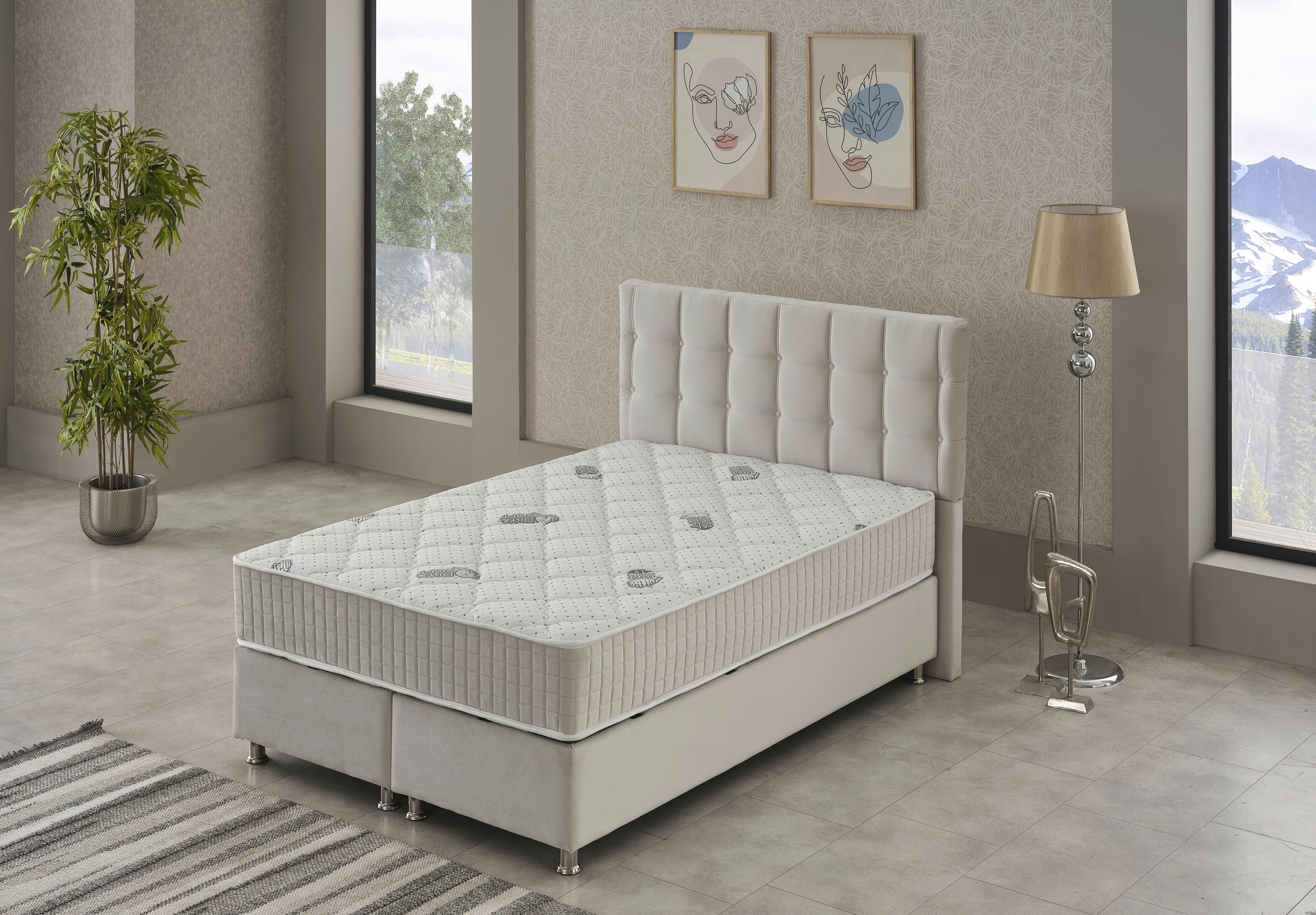 Polsterbett Etna creme Etna - creme (158,00/128,00/214,00cm)