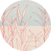 Komar Fototapete Grassland D: ca. 125 cm Grassland - (125,00cm) - Komar