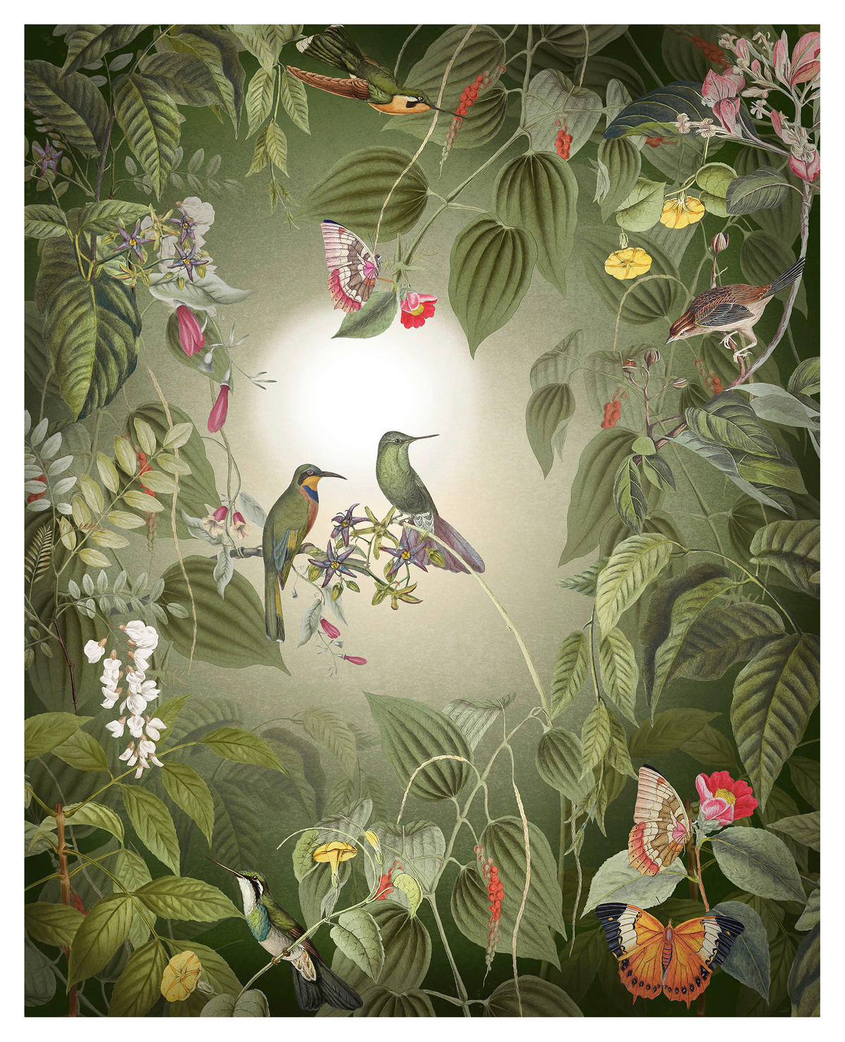 Komar Fototapete Wildlife Birds Vögel B/L: ca. 200x250 cm Wildlife Birds - (200,00/250,00cm) - Komar
