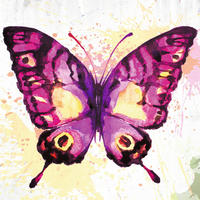 Bönninghoff Keilrahmenbild Keilrahmenbild 35x35cm - Bönninghoff