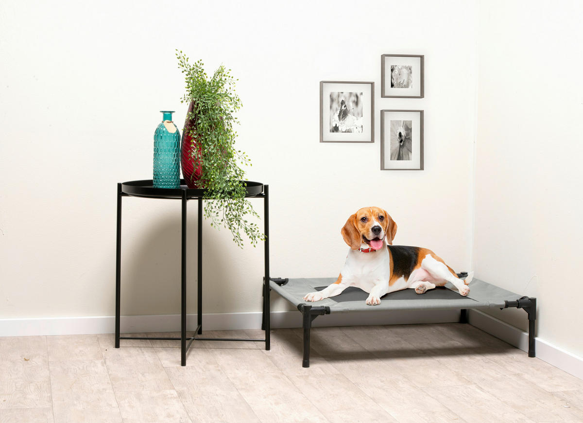 Pet Comfort Haustierbett grau Polyester B/H/L: ca. 81x17x64 cm Erhöhtes_Haustierbett_M - grau (64,00/81,00/17,00cm) - Pet Comfort