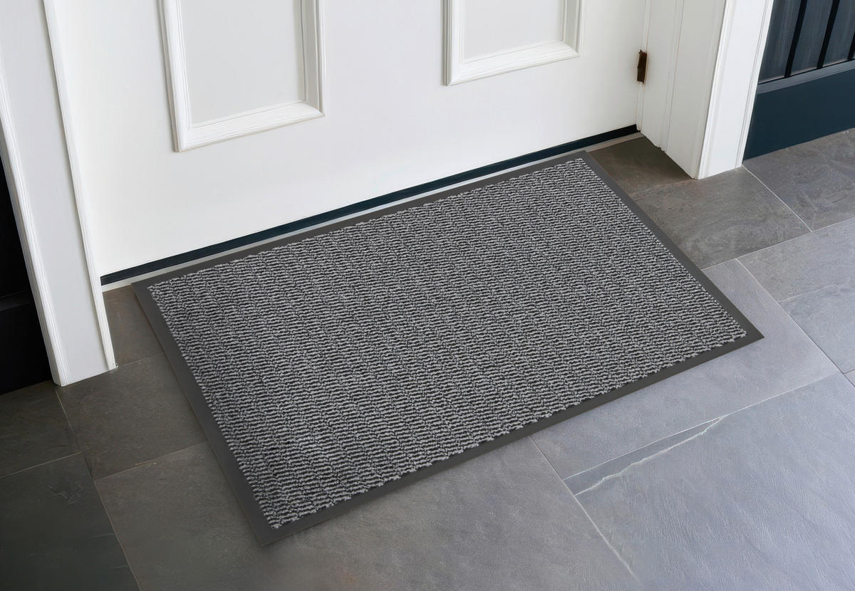 Schmutzfangmatte Spectrum grau B/L: ca. 40x60 cm Spectrum - grau (40,00/60,00cm)