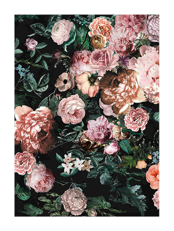 Komar Poster Charming Wild Rosen B/L: ca. 30x40 cm günstig online kaufen