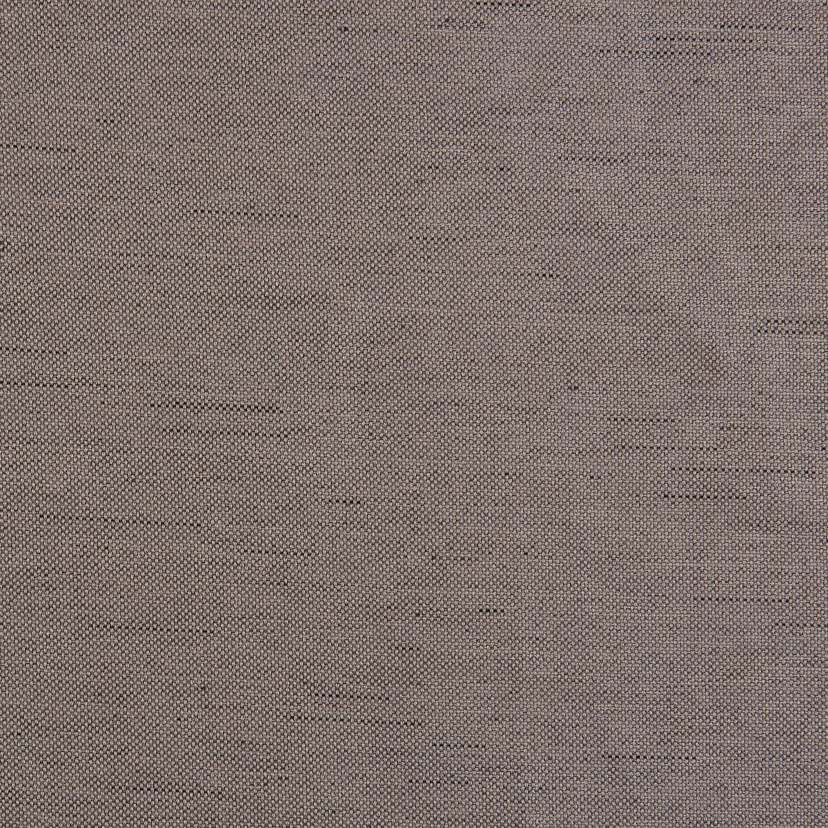 silver edition Verdunklungsvorhang Henry taupe B/L: ca. 135x245 cm Henry - taupe (135,00/245,00cm) - silver edition