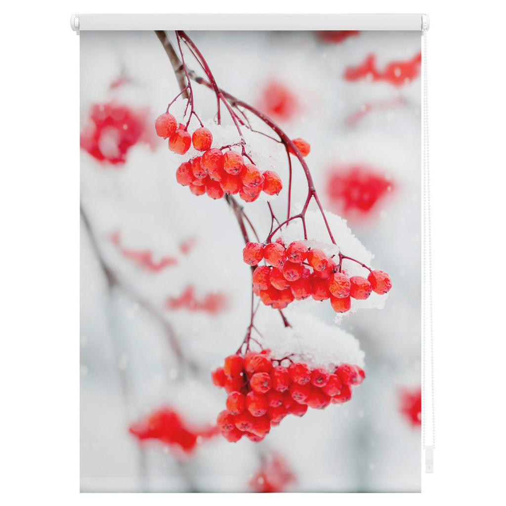 Thumbnail - Verdunkelungsrollo Vogelbeeren rot B/L: ca. 80x150 cm