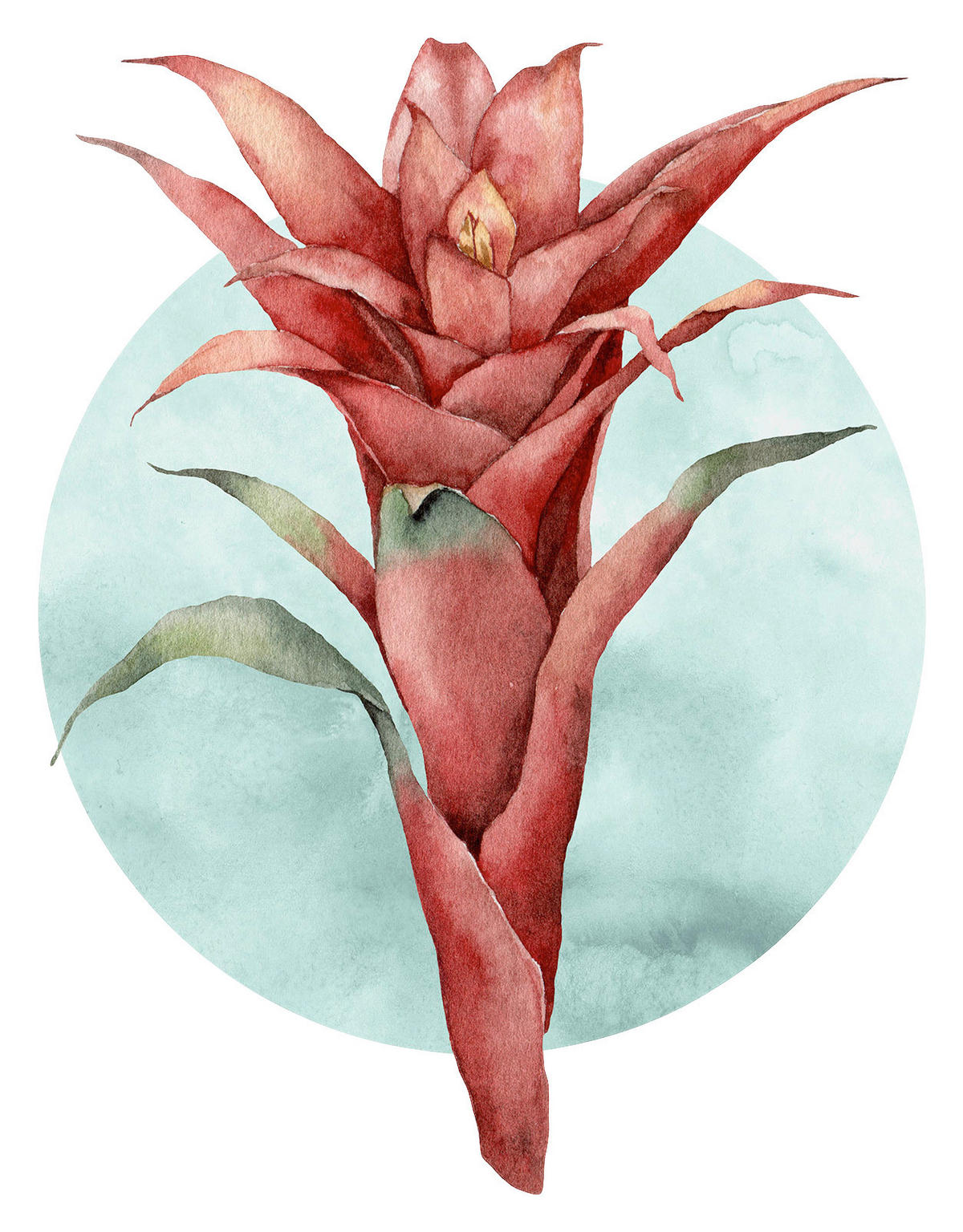 Komar Poster Funky Flower Blume B/L: ca. 40x50 cm Funky Flower - (40,00/50,00cm) - Komar