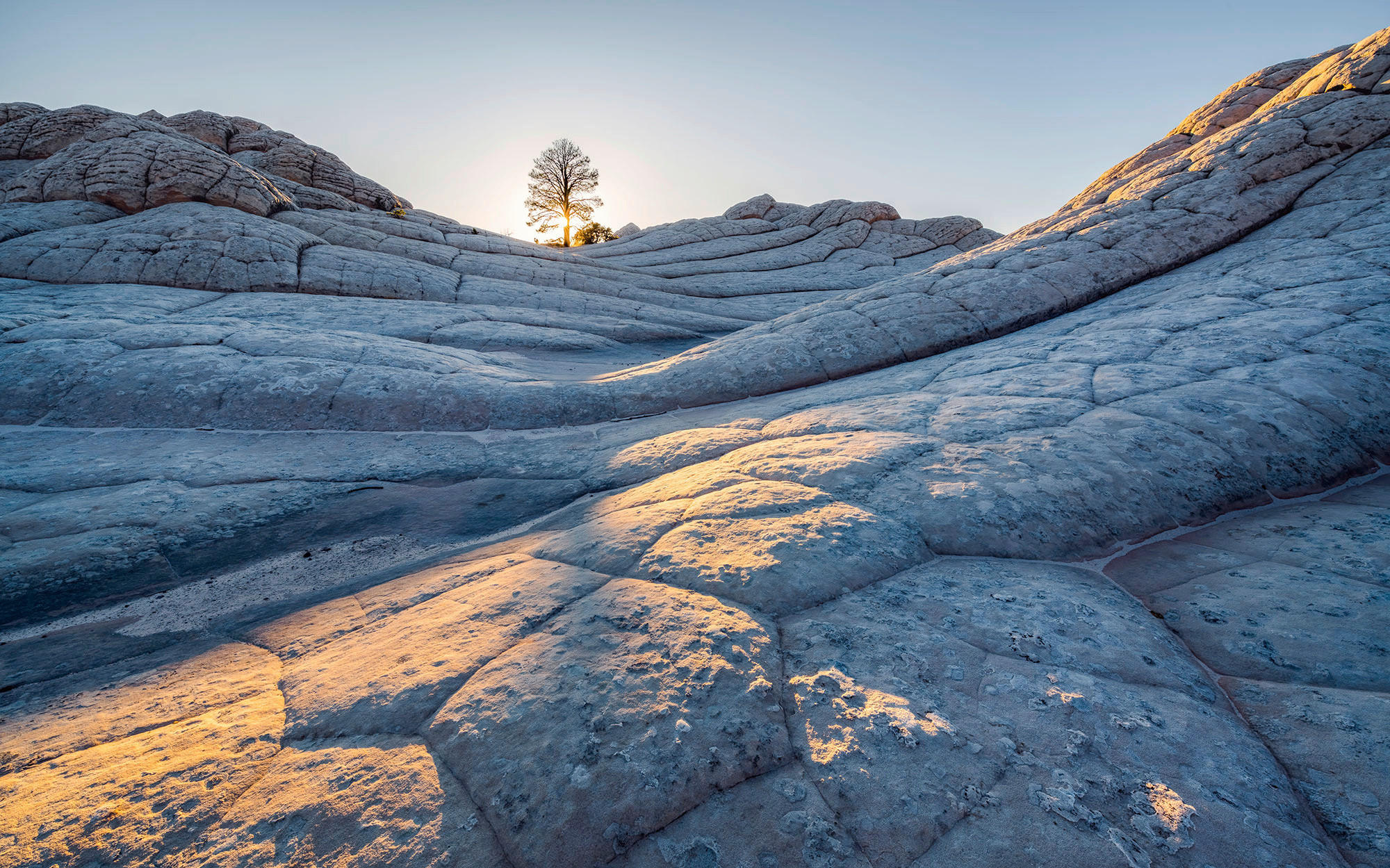 Komar Fototapete »Digitaldruck Vlies - Elephant Skin - Größe 400 x 250 cm«, günstig online kaufen