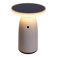 LED-Solarleuchte 3191023 weiß Kunststoff Metall H/D: ca. 22,5x16 cm LED Solarleuchte ADA mit LED - weiß (16,00/22,50cm) - Näve Leuchten