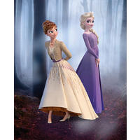 Komar Poster Frozen Wood Walk Disney B/L: ca. 40x50 cm Frozen Wood Walk - (40,00/50,00cm) - Komar