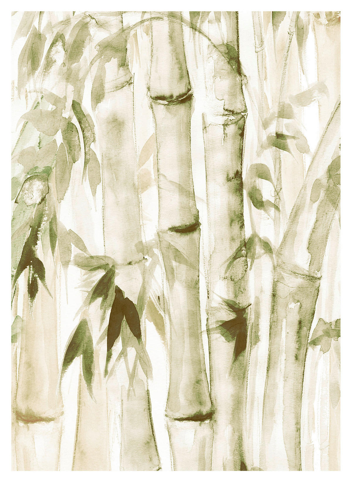 Komar Poster Wild Bamboo Bambus B/L: ca. 50x70 cm Wild Bamboo - (50,00/70,00cm) - Komar