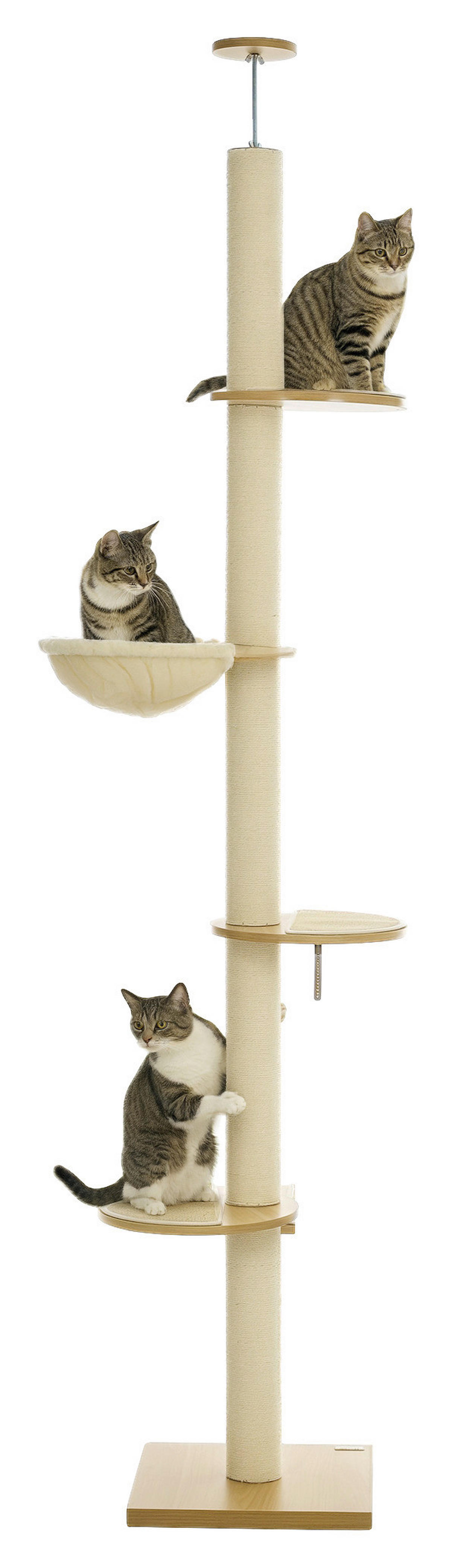 PawHut Kratzbaum Eiche Polyester B/H/L: ca. 40x250x40 cm Kratzbaum - Eiche/cremeweiß (40,00/40,00/250,00cm) - PawHut