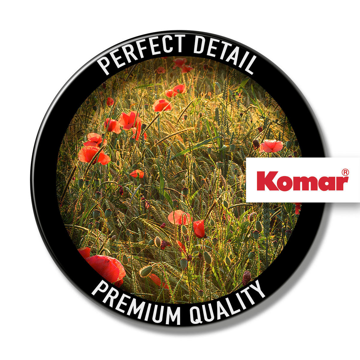Komar Fototapete Poppy World B/L: ca. 450x280 cm Poppy World - (450,00/280,00cm) - Komar