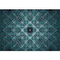 Komar Fototapete Matrix XXL4-061 grün B/H: ca. 268x248 cm Matrix XXL4-061 - grün (268,00/248,00cm) - Komar
