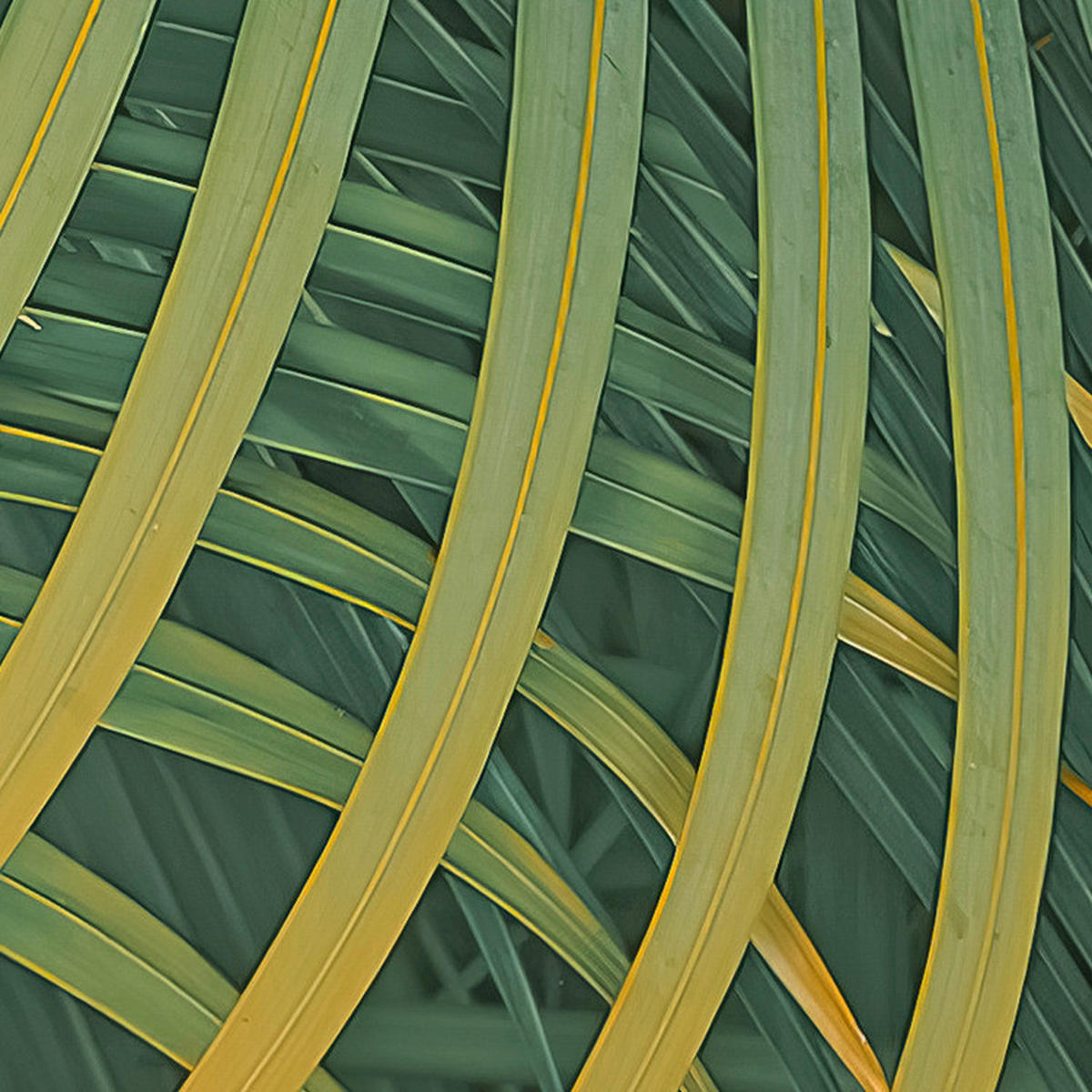 Komar Fototapete Neon Fern B/L: ca. 200x250 cm Neon Fern - (200,00/250,00cm) - Komar