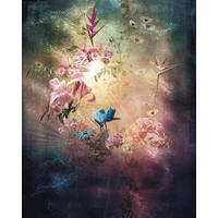 Komar Fototapete Enlightenment B/L: ca. 200x250 cm Enlightenment - (200,00/250,00cm) - Komar